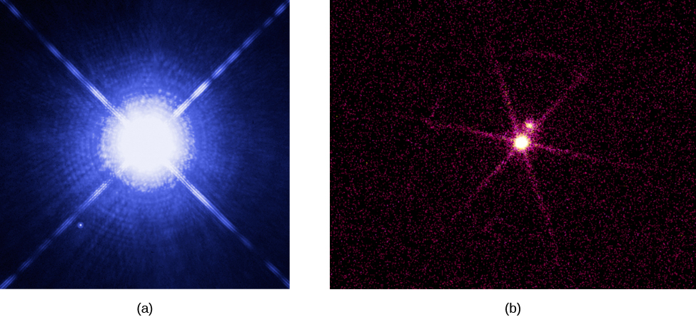 Hình 23.2 Liên hệ khối lượng và bán kính của người lùn trắng. Các mô hình cấu trúc sao lùn trắng dự đoán rằng khi khối lượng của ngôi sao tăng lên (về phía bên phải), bán kính của nó ngày càng nhỏ.