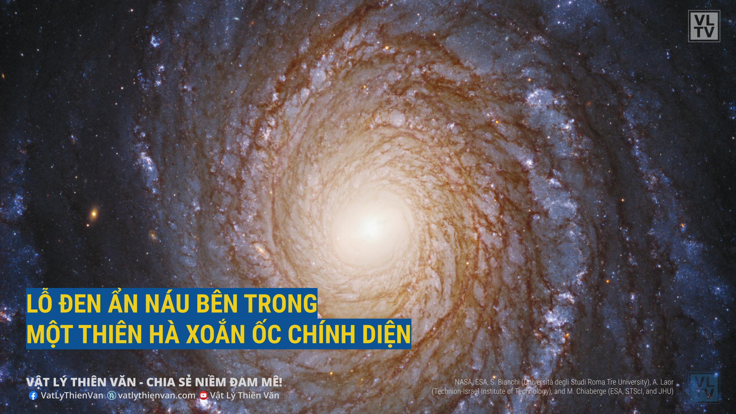 Các cánh tay uốn lượn duyên dáng của thiên hà xoắn ốc hùng vĩ NGC 3147 xuất hiện giống như một cầu thang xoắn ốc lớn quét qua không gian.