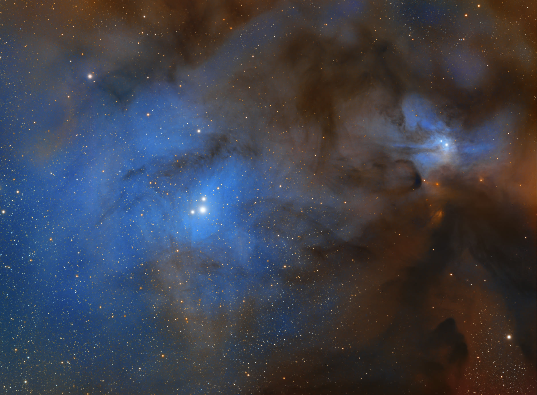 TRONG TRÁI TIM RHO OPHIUCHI - BỨC ẢNH KỲ CÔNG CỦA 2 TÁC GIẢ NGUYỄN TRẦN HẠ VÀ DAVID NGUYEN