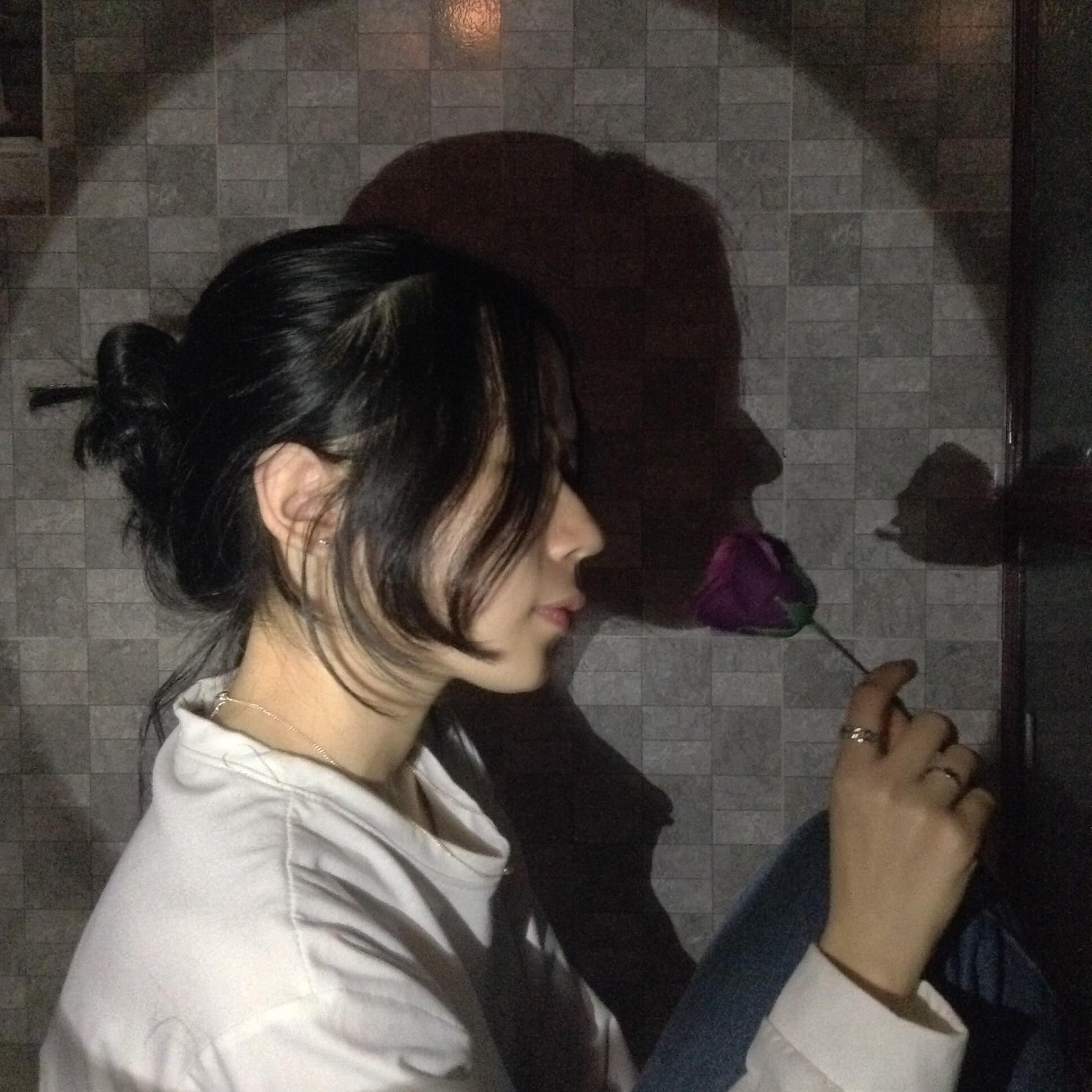 Dương Nhật Thiên Thư